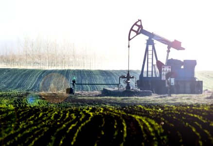 Pumpjack On Field
