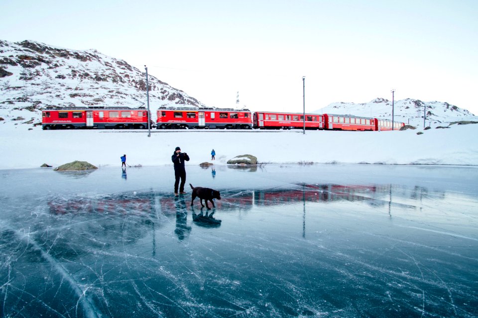 Person Walking Dog On Frozen Lake