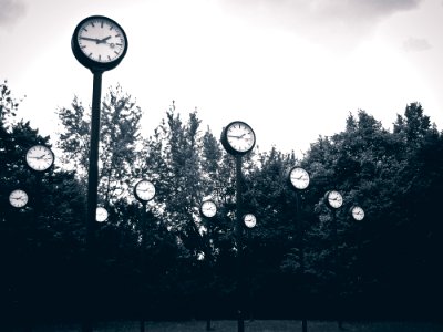 Group Of Clocks On Tall Poles In Park