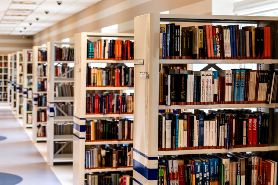 Row Of Books In Shelf photo