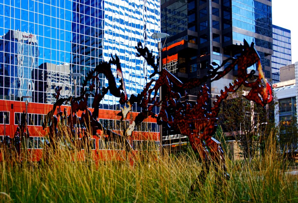 Do Re Me Fa Sol Si Do Title For This Set Of HorsesCalgary