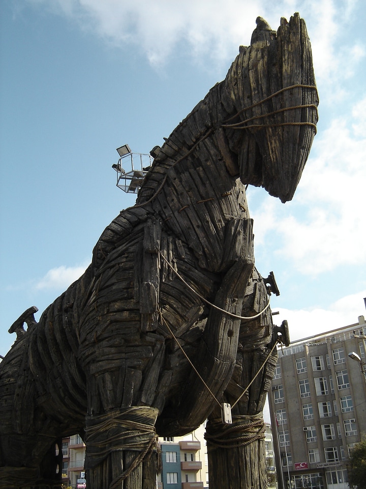 Horse turkey ancient