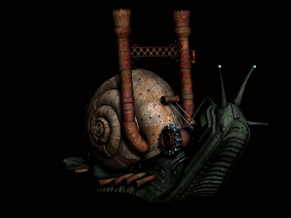 Still Life Photography Organism Darkness Extinction