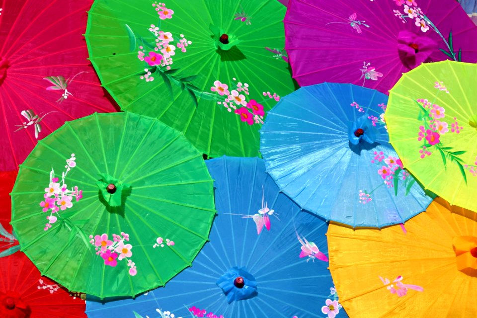 Umbrella Green Fashion Accessory Petal