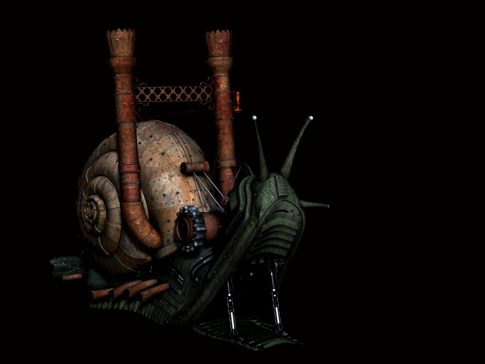 Organism Still Life Photography Darkness Snail