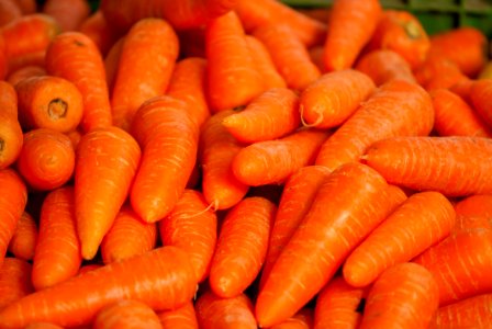 Carrot Vegetable Produce Food photo