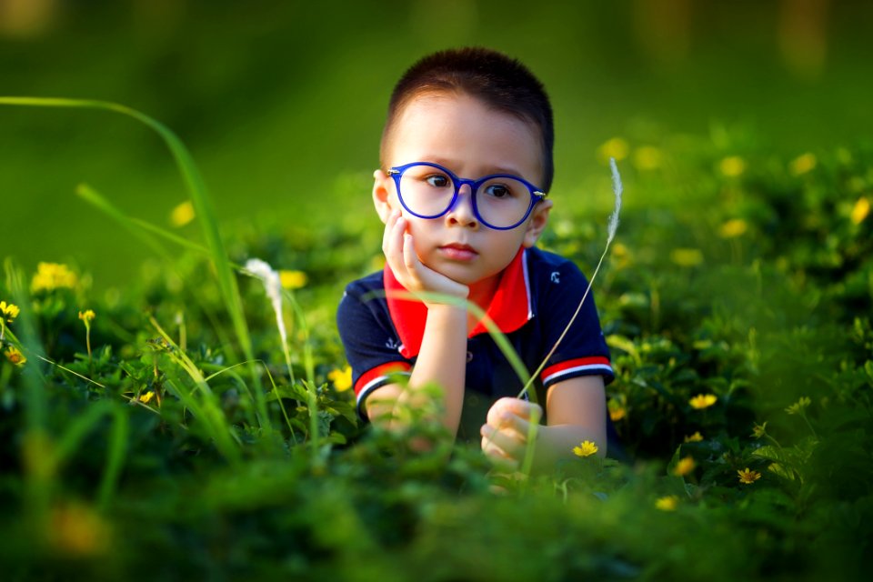 Green Nature Grass Glasses