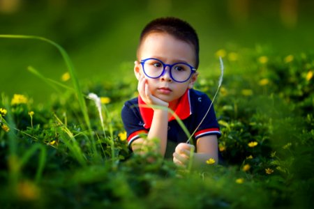 Green Nature Grass Glasses