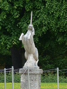 Horse ross hellbrunn