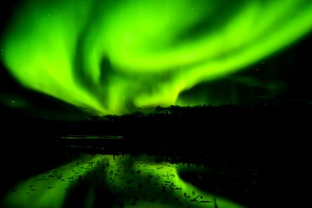 Aurora Green Nature Atmosphere
