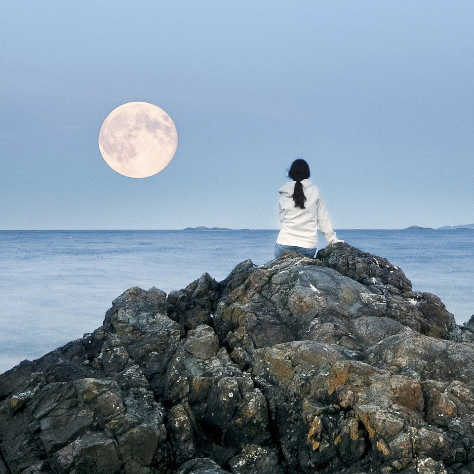 Watching ocean nature