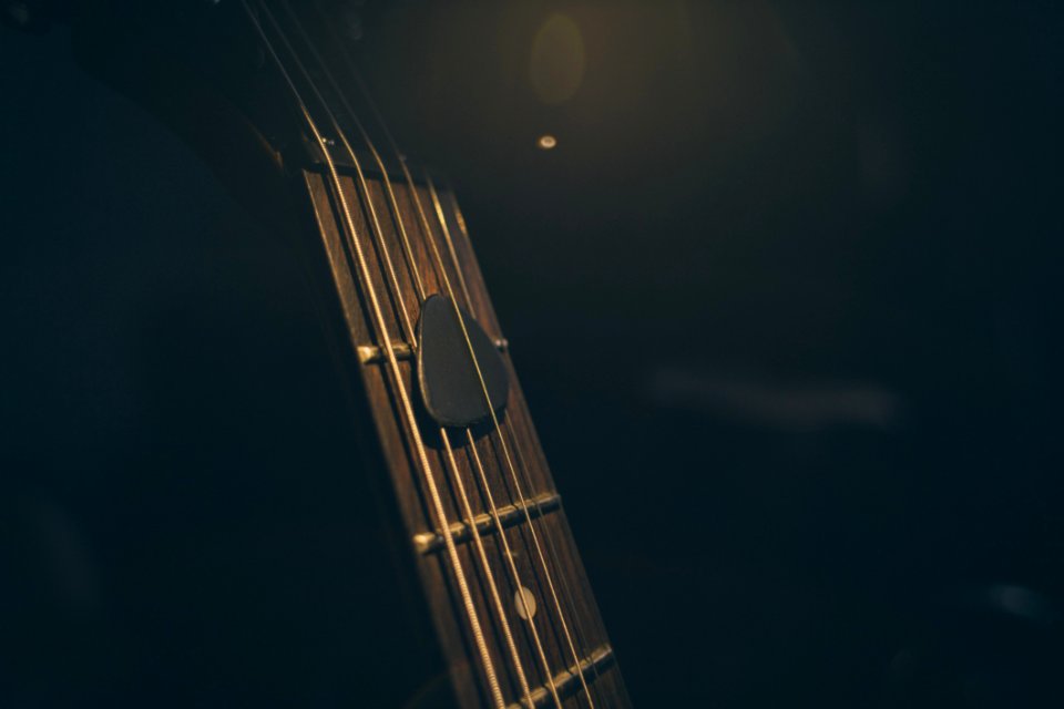 Guitar Pick On The Guitar