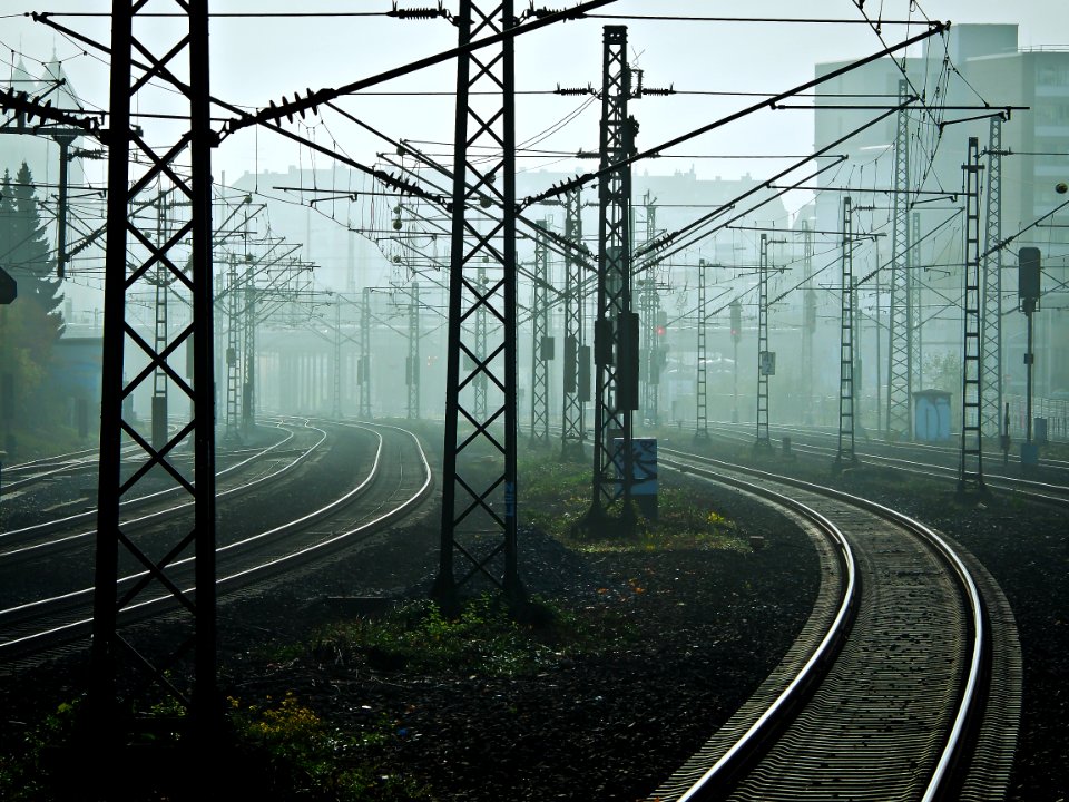 Track Transport Rail Transport Tree