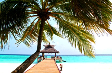 Exotic Beach With Overwater Bungalow