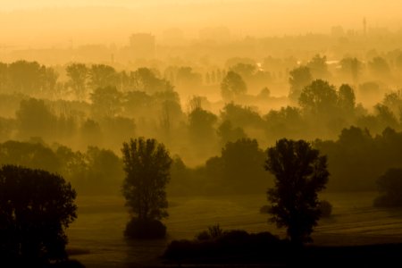 Mist Dawn Morning Atmosphere photo
