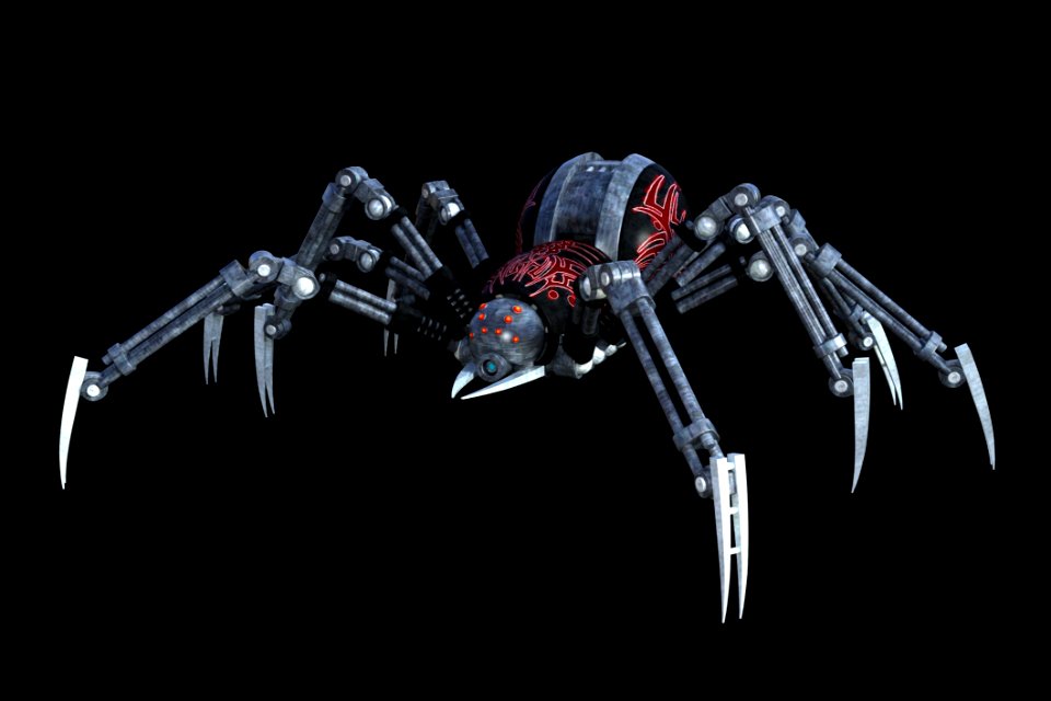 Arachnid Spider Invertebrate Arthropod