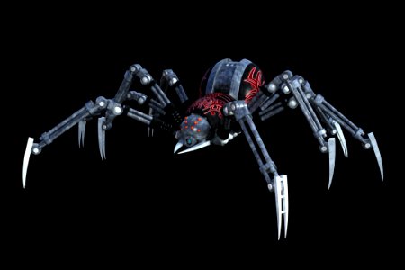 Arachnid Spider Invertebrate Arthropod