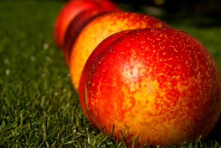 Fruit Local Food Grass Peach