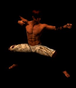 Dancer Man Performing Arts Performance photo