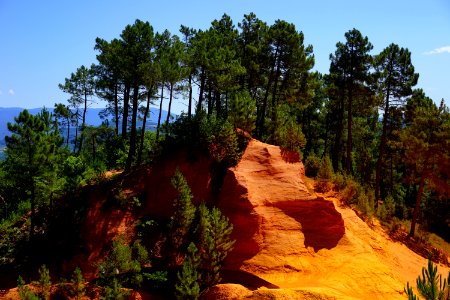 Vegetation Wilderness Nature Reserve Rock photo