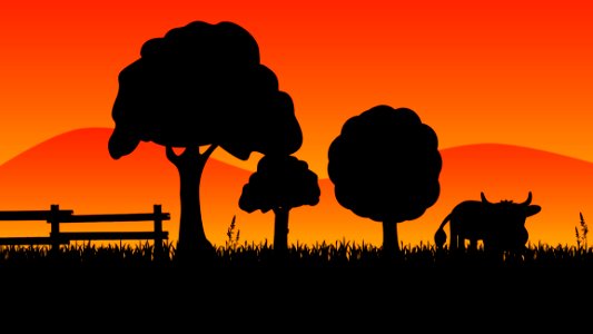Silhouette Ostrich Sky Grass