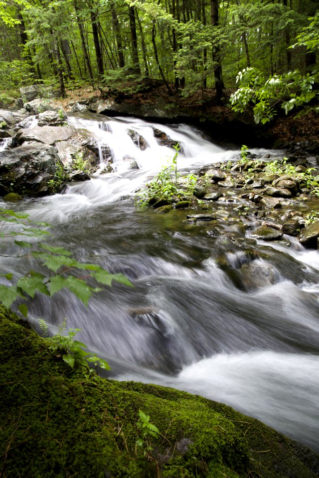 Water Falls During Day Time