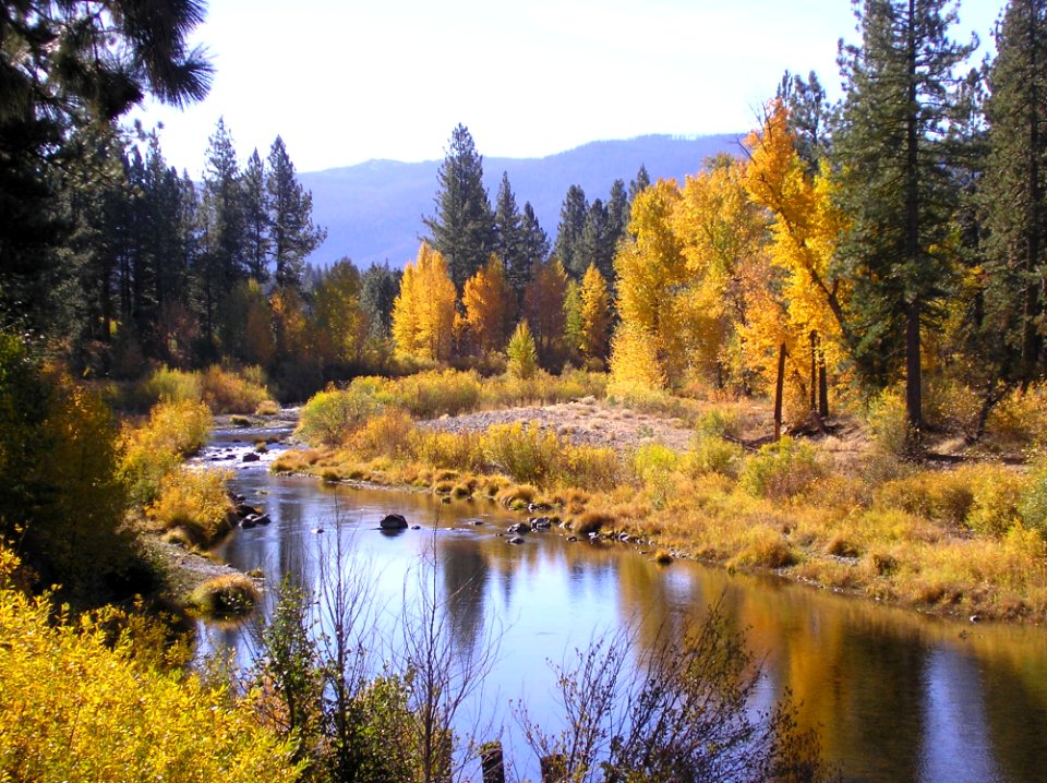Autumn River
