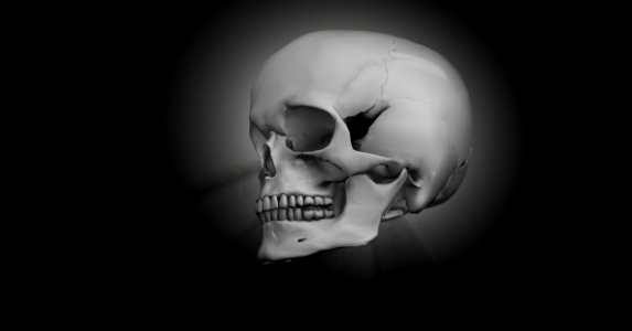 Face Bone Black And White Skull photo