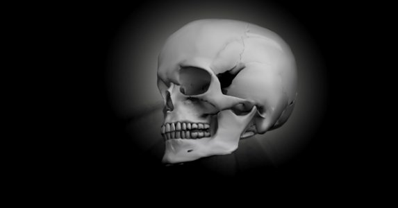 Face Bone Black And White Skull