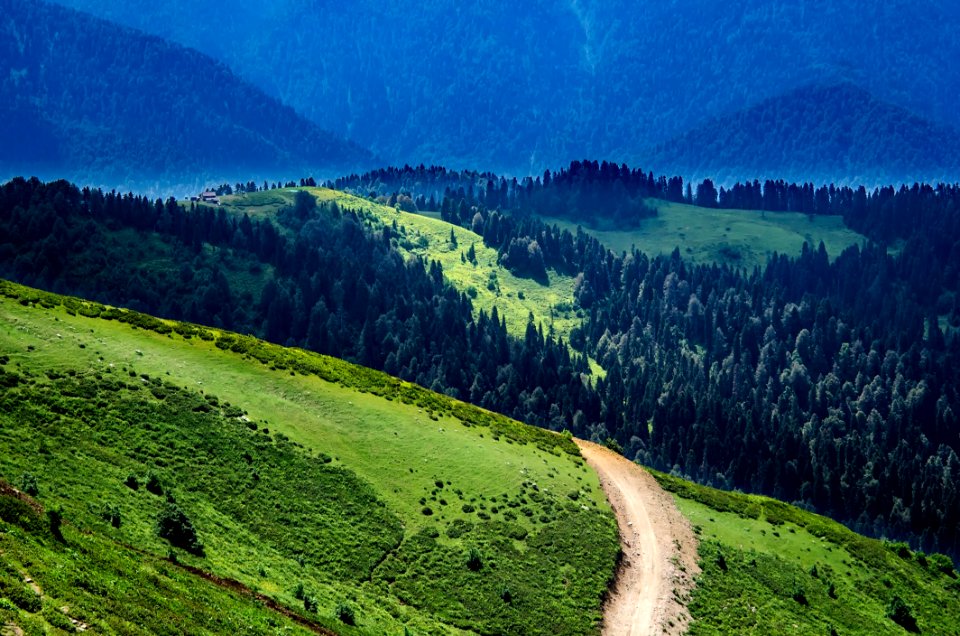 Hill Landscape photo