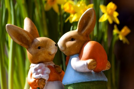 2 Brown Rabbits Smiling At Each Other