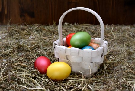 Easter Eggs In Basket photo