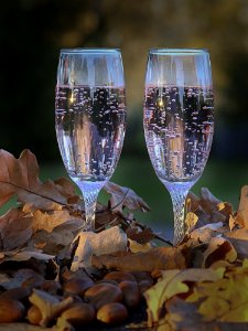 Glasses Of Champagne In Oak Leaves