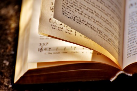 White Book