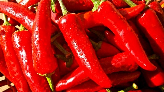 Red Chili photo