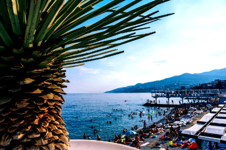 Crowded Waterfront