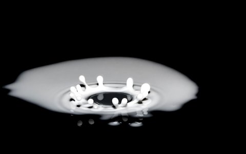 Milk Splashing photo