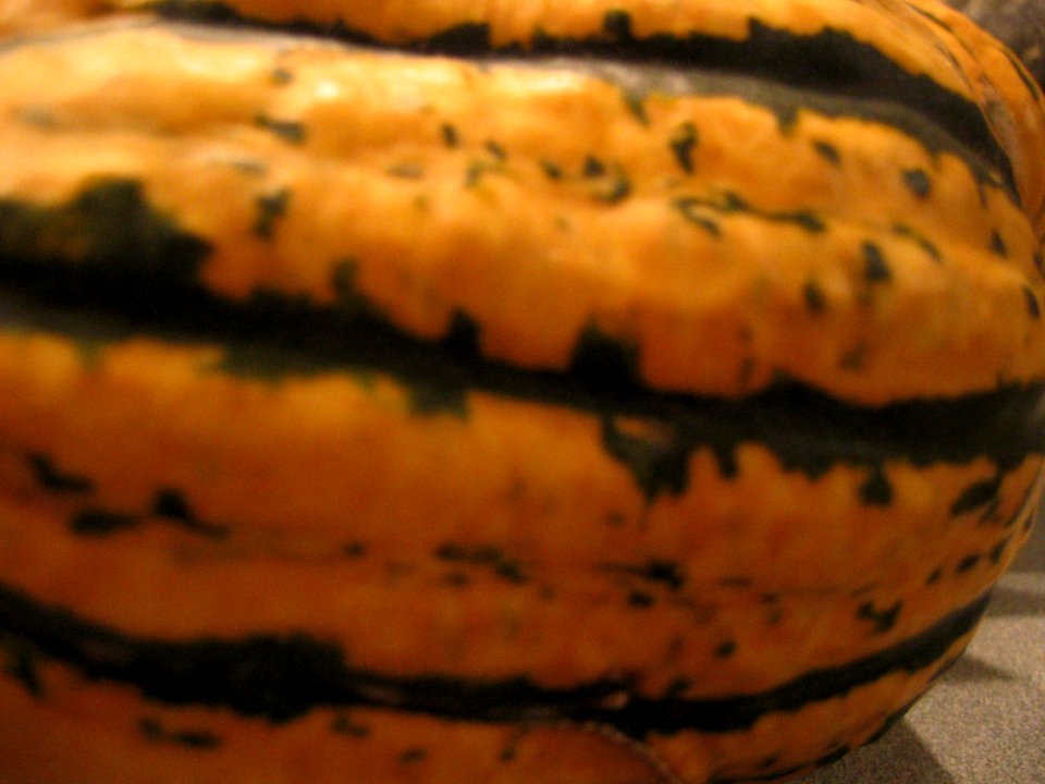 Sat09Oct2004Food - Squash And Pumpkin From East Van Farmers Market - 7