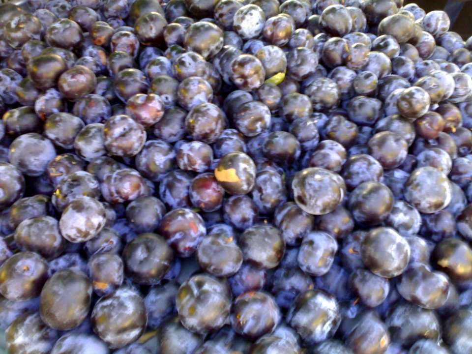East Van Farmers Market - Roland In Vancouver (101)