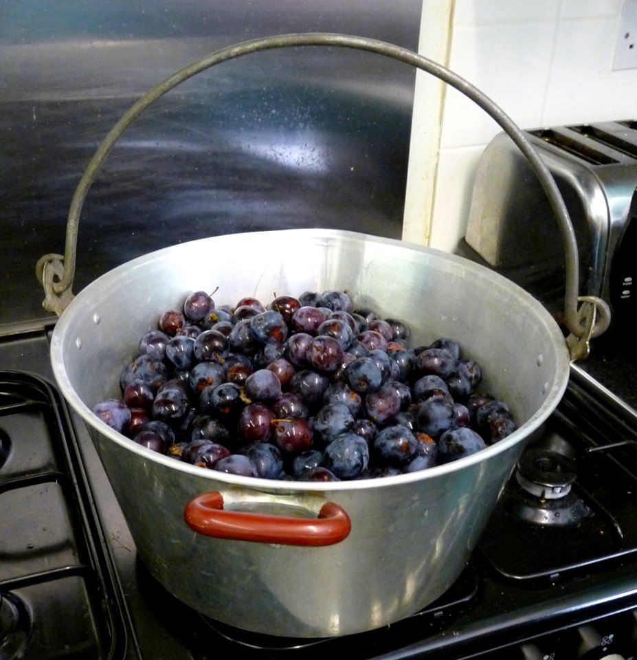 Damsons Ready For Jam Making