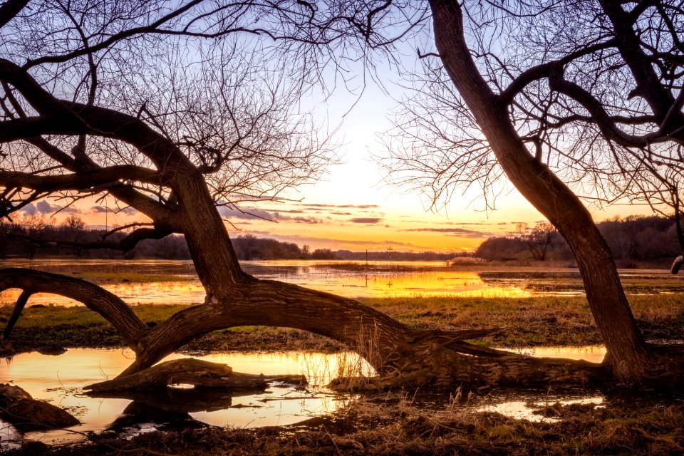 Sunset Over Trees On Waterfront