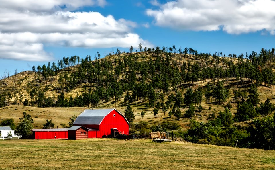 Red Barn In Rural Field