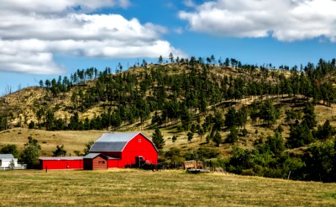 Red Barn In Rural Field photo