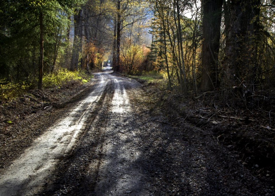 Landscape View Of Roadway During Daytime