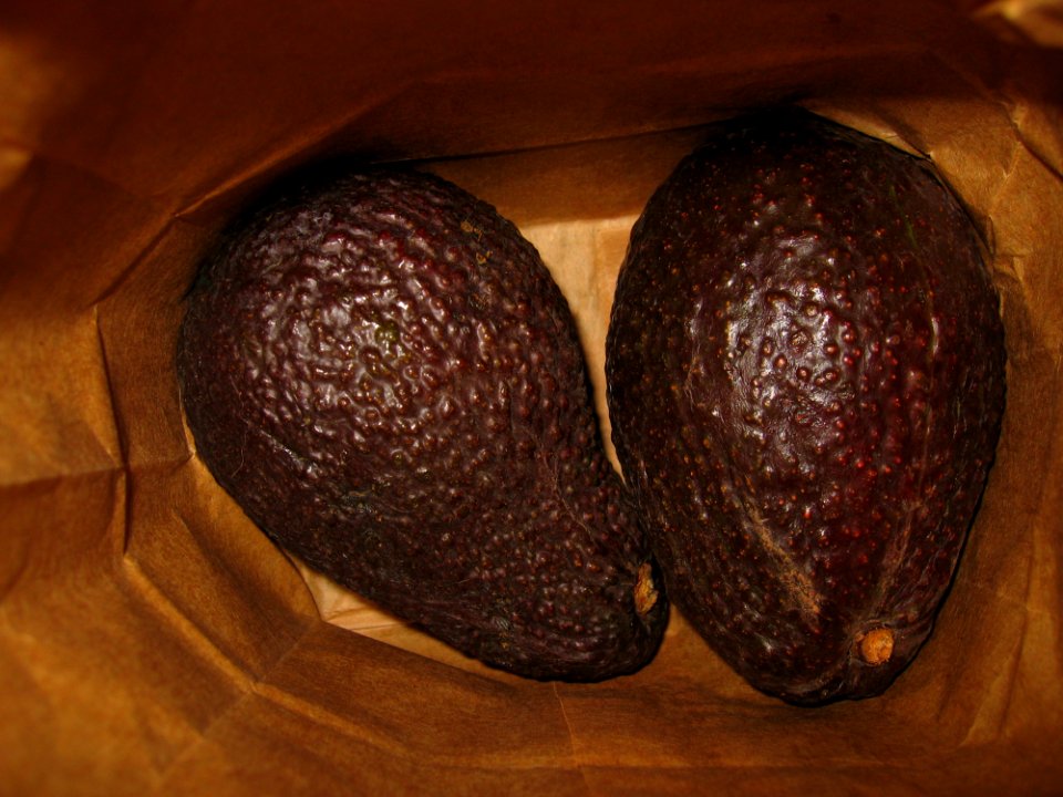 Avocados A Follow-up