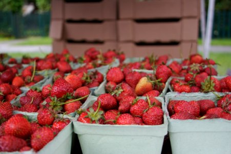 West End Farmers Market - 17Jun06 - 4