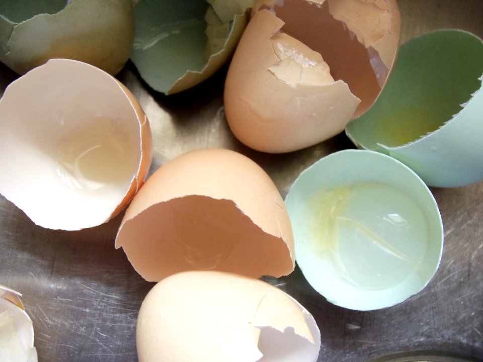 Green Eggs And Grapes