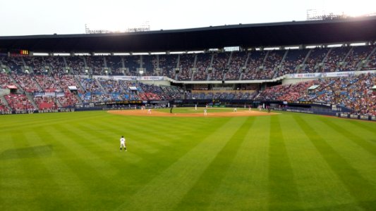 Professional Baseball Game