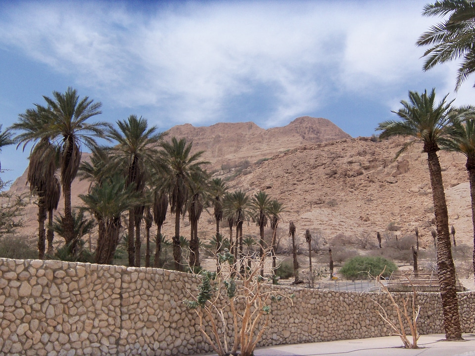 Scenery natural outdoor