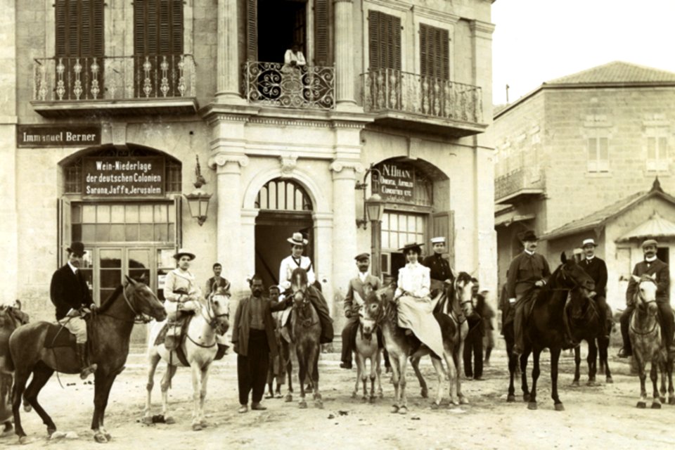 Horse Building Working Animal Halter photo